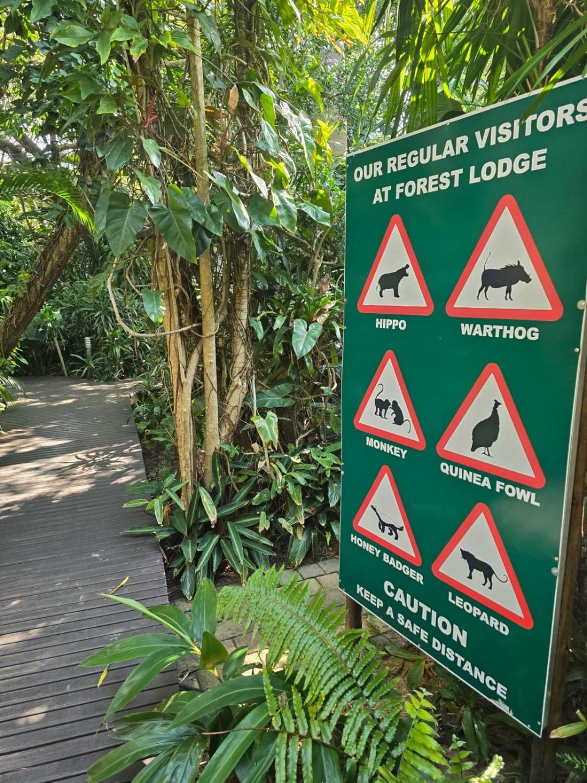 Forest Villa'S St Lucia Bagian luar foto